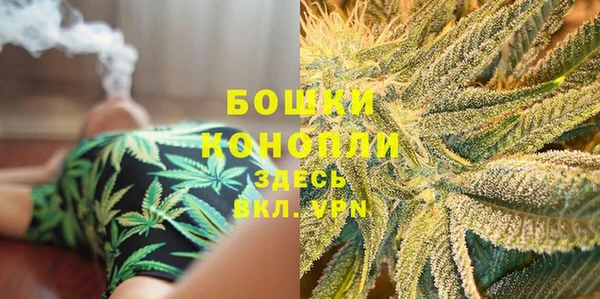 шишки Богородск