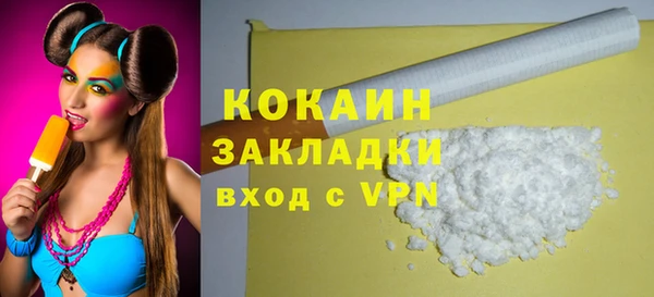 шишки Богородск