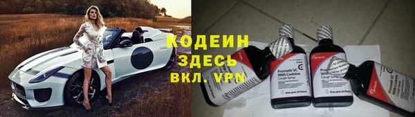 мдпв Богородицк