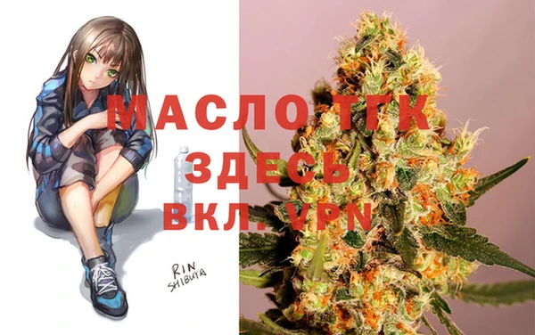 мдпв Богородицк