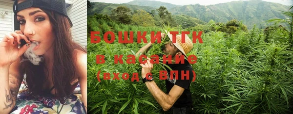 мдпв Богородицк