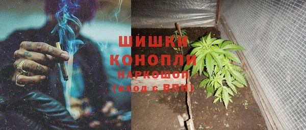 шишки Богородск