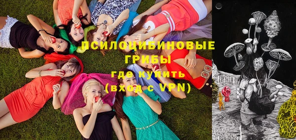 мдпв Богородицк