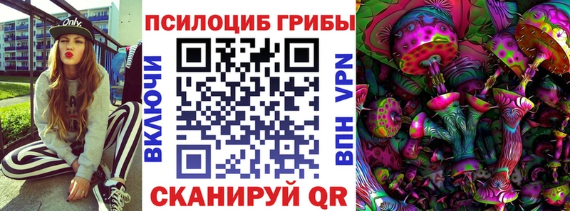 Галлюциногенные грибы Magic Shrooms  цены   Дигора 