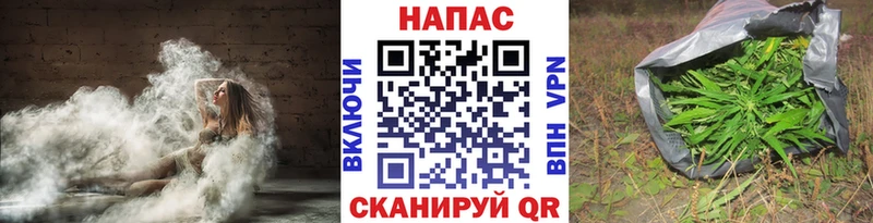 где купить наркоту  KRAKEN ONION  Каннабис THC 21%  Дигора 